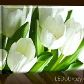 LED obraz Bílé květiny 45x30 cm