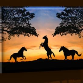 LED obraz Koně při západu slunce 45x30 cm