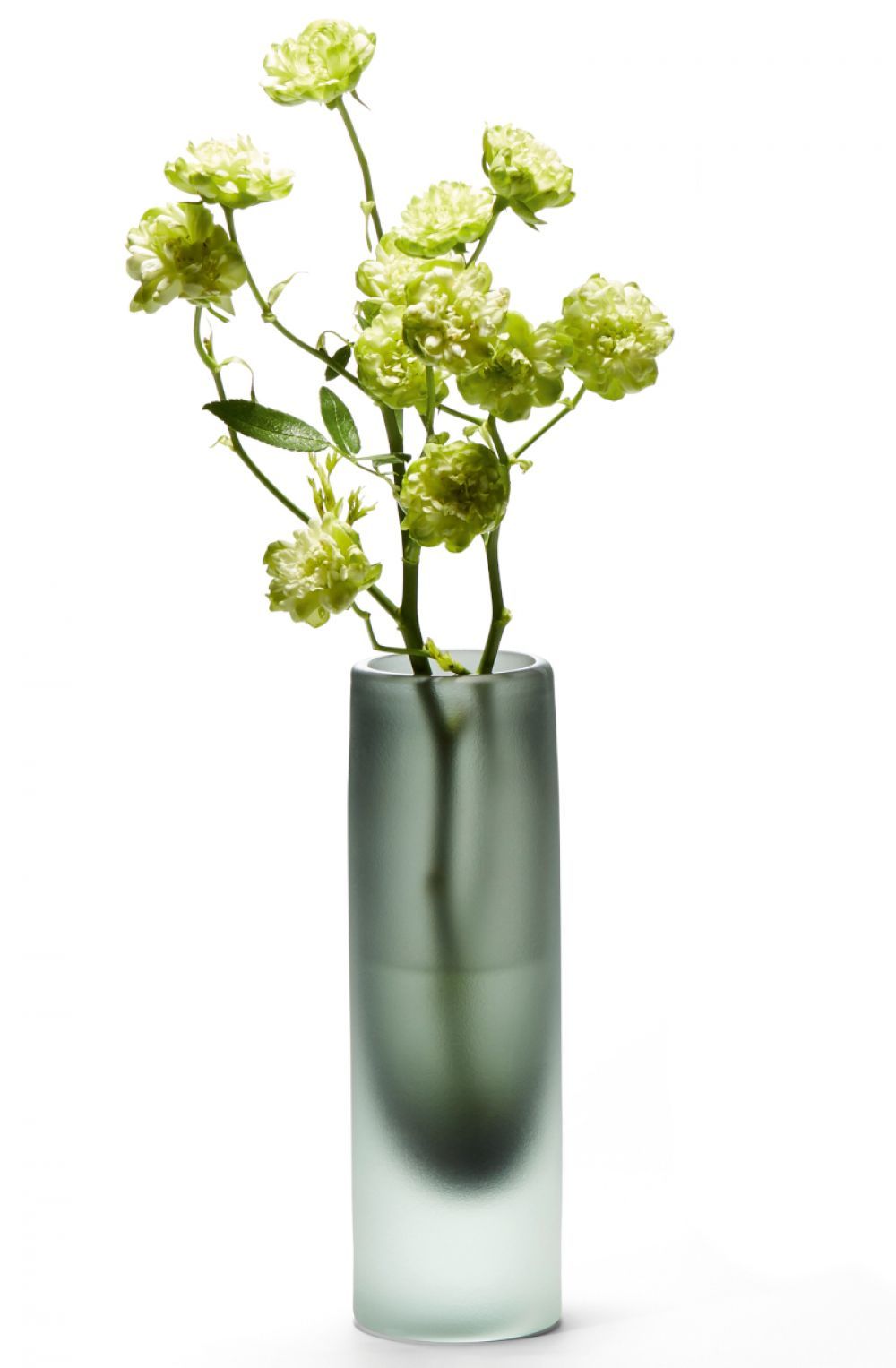 Váza nobis skleněná 20cm zelená Philippi - Domio.cz