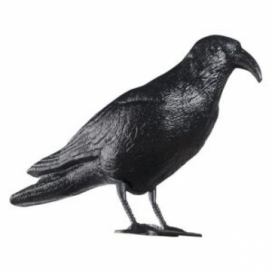 TORO Plastový odpuzovač holubů - havran