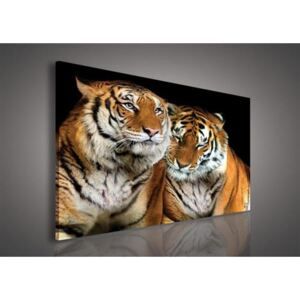 Obraz na plátně tygři 131O1, 100 x 75 cm, IMPOL TRADE - Favi.cz