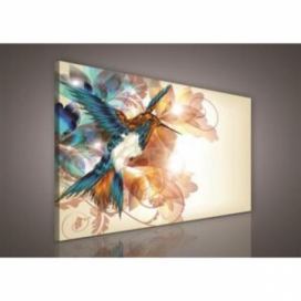 Obraz na plátně kolibřík 260O1, 100 x 75 cm, IMPOL TRADE Favi.cz