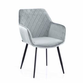 HOMEDE Designová židle Vialli stříbrná, velikost 60x42x84