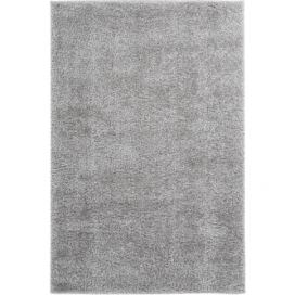 Obsession koberce Kusový koberec Emilia 250 silver Rozměry koberců: 200x290 Mdum