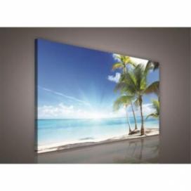 Obraz na plátně palmy na pláži 227O1, 100 x 75 cm, IMPOL TRADE