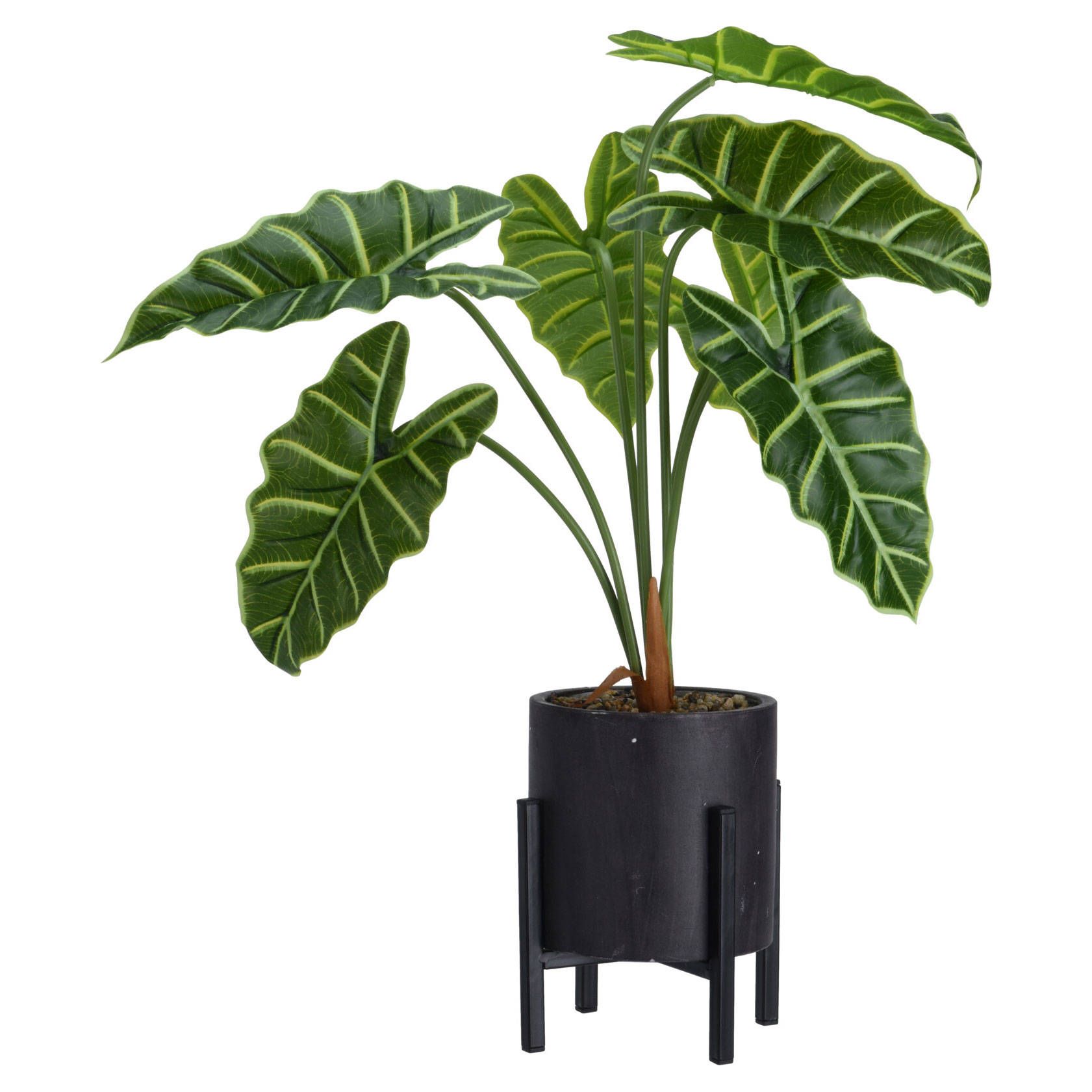 Home Styling Collection Dekorativní umělá hrnková rostlina ALOKÁZIE, výška 55 cm - EDAXO.CZ s.r.o.
