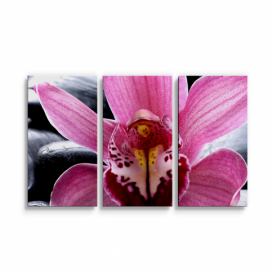 Obraz - 3-dílný SABLIO - Růžová orchidea 120x80 cm