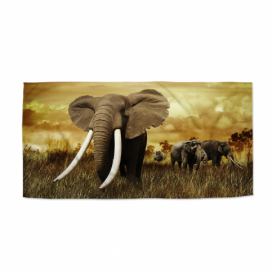 Ručník SABLIO - Slon Africký 30x50 cm