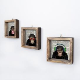 Hanah Home Sada obrazů Šimpanz 15x15 cm 3 ks Houseland.cz