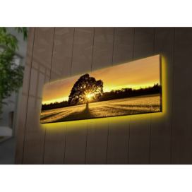 Hanah Home Obraz s led osvětlením Ledda Tree 90x30 cm