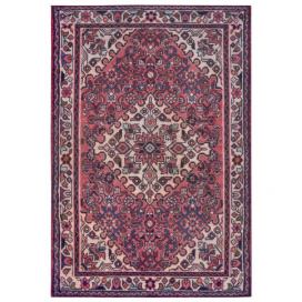 Nouristan - Hanse Home koberce AKCE: 80x200 cm Kusový koberec Asmar 104898 Cream Red - 80x200 cm