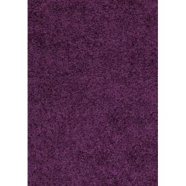Ayyildiz Kusový koberec Dream Shaggy 4000 – fialová 60x110 cm ATAN Nábytek