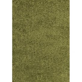Ayyildiz Kusový koberec Dream Shaggy 4000 – zelená 60x110 cm