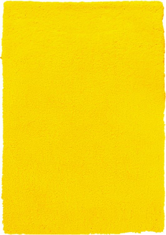 B-line  Kusový koberec Spring Yellow - 40x60 cm - Mujkoberec.cz