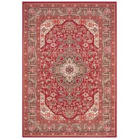 Nouristan - Hanse Home koberce Kusový koberec Mirkan 104098 Oriental red - 80x150 cm Mujkoberec.cz