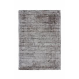 Obsession koberce Ručně tkaný kusový koberec MAORI 220 SILVER - 120x170 cm