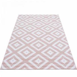 Ayyildiz koberce Kusový koberec Plus 8005 pink - 80x150 cm Mujkoberec.cz