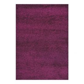 Medipa (Merinos) koberce Kusový Koberec Shaggy Plus Purple 957 - 60x115 cm