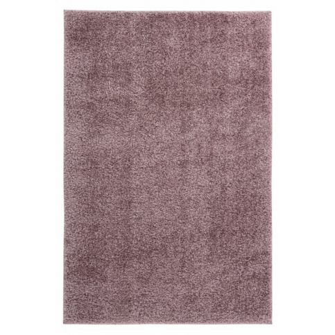 Obsession koberce Kusový koberec Emilia 250 powder purple - 60x110 cm Mujkoberec.cz