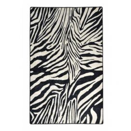 Conceptum Hypnose Koberec Zebra 160x230 cm bílý/černý Houseland.cz