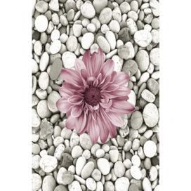 Conceptum Hypnose Koberec Bloom 60x100 cm šedý/růžový