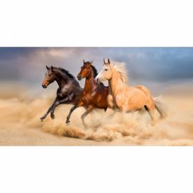 BedTex Osuška Divocí koně v poušti, 70 x 140 cm