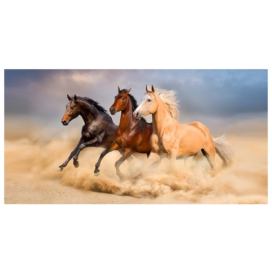 Froté osuška Divocí koně v poušti 70x140 cm 