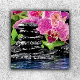 IMPAR Foto na plátno Kameny s květinou 1 70x70 cm