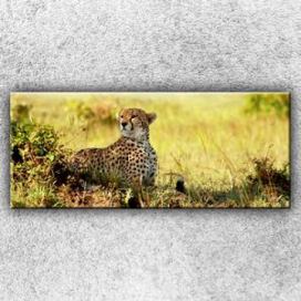 IMPAR Foto na plátno Gepard v pozoru 1 120x50 cm
