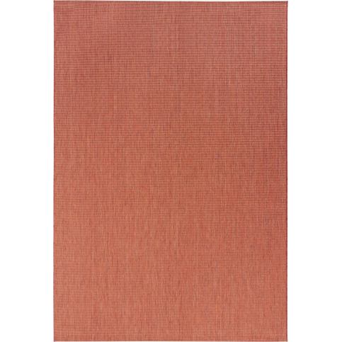 Hanse Home Collection koberce Kusový koberec Meadow 102725 terracotta Rozměry koberců: 240x340 Mdum M DUM.cz