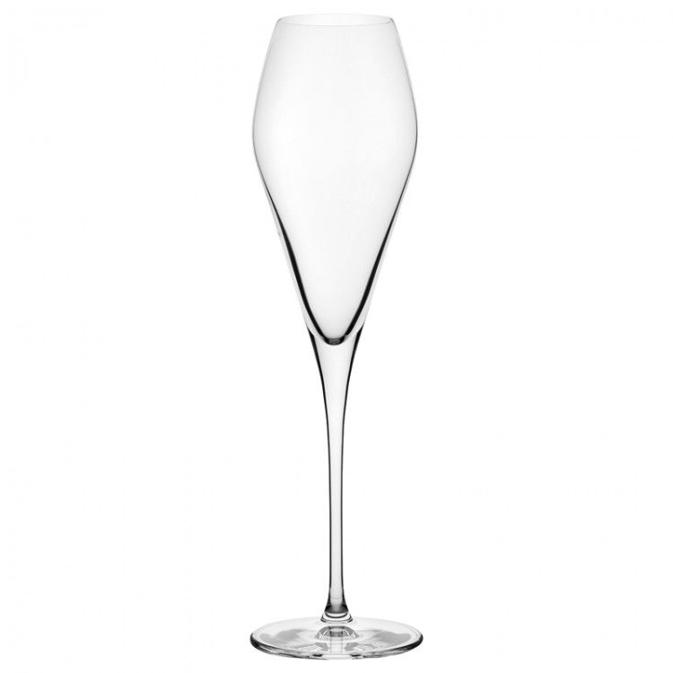 Nude designové sklenice na šampaňské Fantasy - DESIGNPROPAGANDA