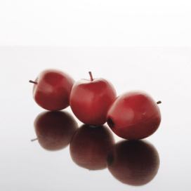 ADRIANI E ROSSI - Dekorace umělé jablko - červené 3ks