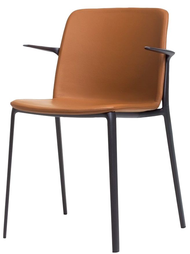 MAXDESIGN - Čalouněná židle s područkami APPIA 5041 - 