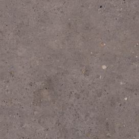 Dlažba Pastorelli Biophilic dark grey 60x60 cm mat P009460 (bal.0,720 m2)