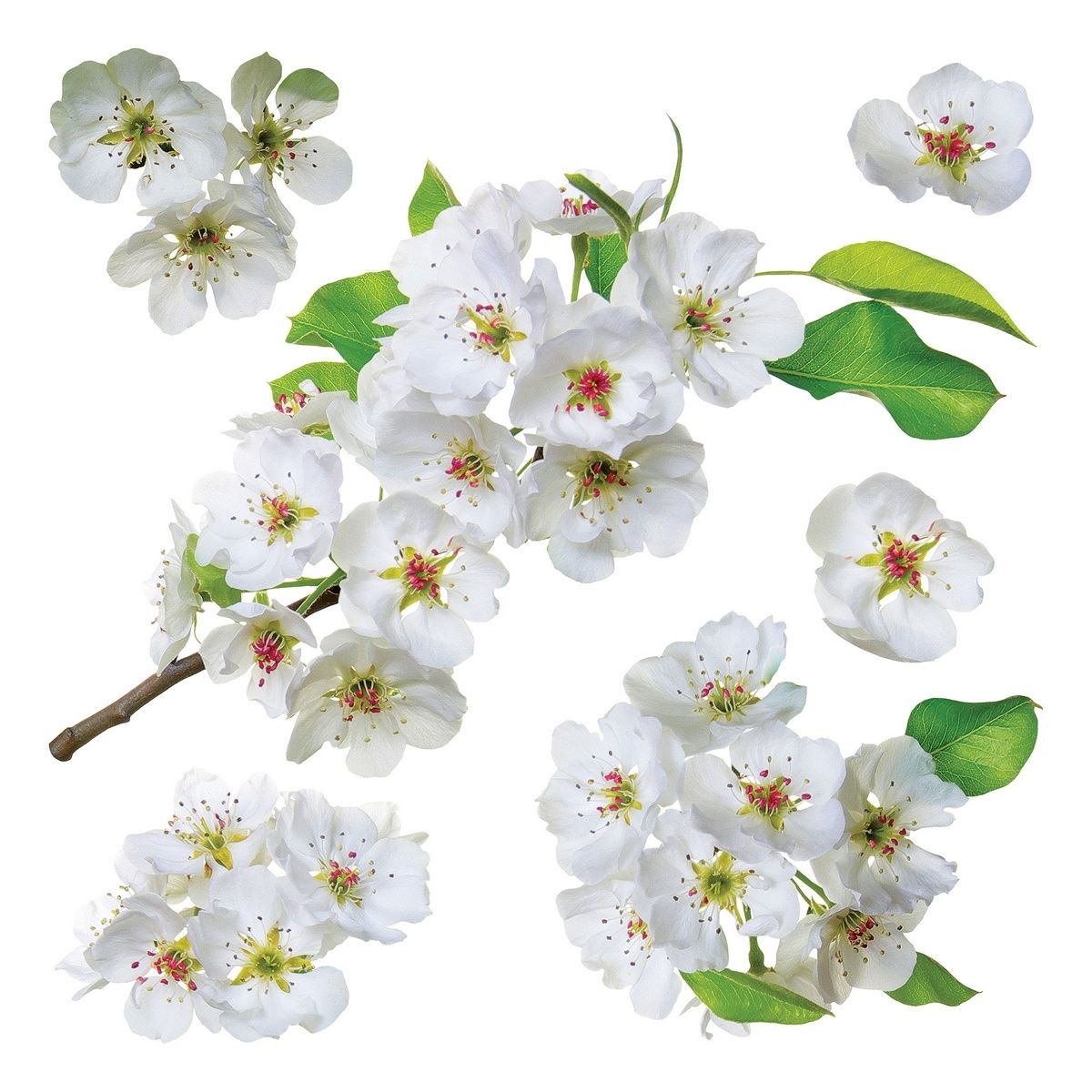 Samolepicí dekorace Apple blossom, 30 x 30 cm - 4home.cz