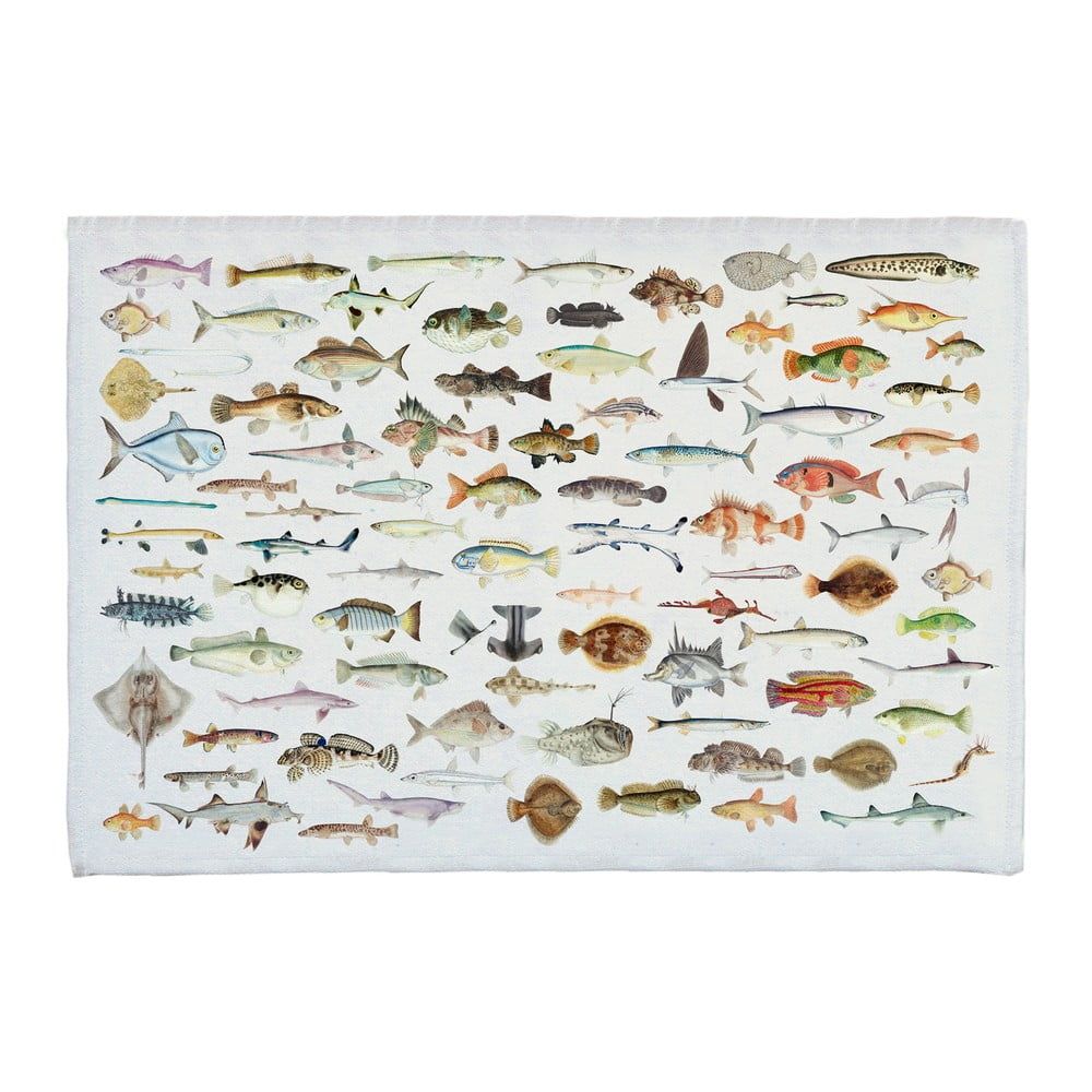 Koupelnová předložka 40x60 cm Fish in the Ocean – Really Nice Things - Bonami.cz