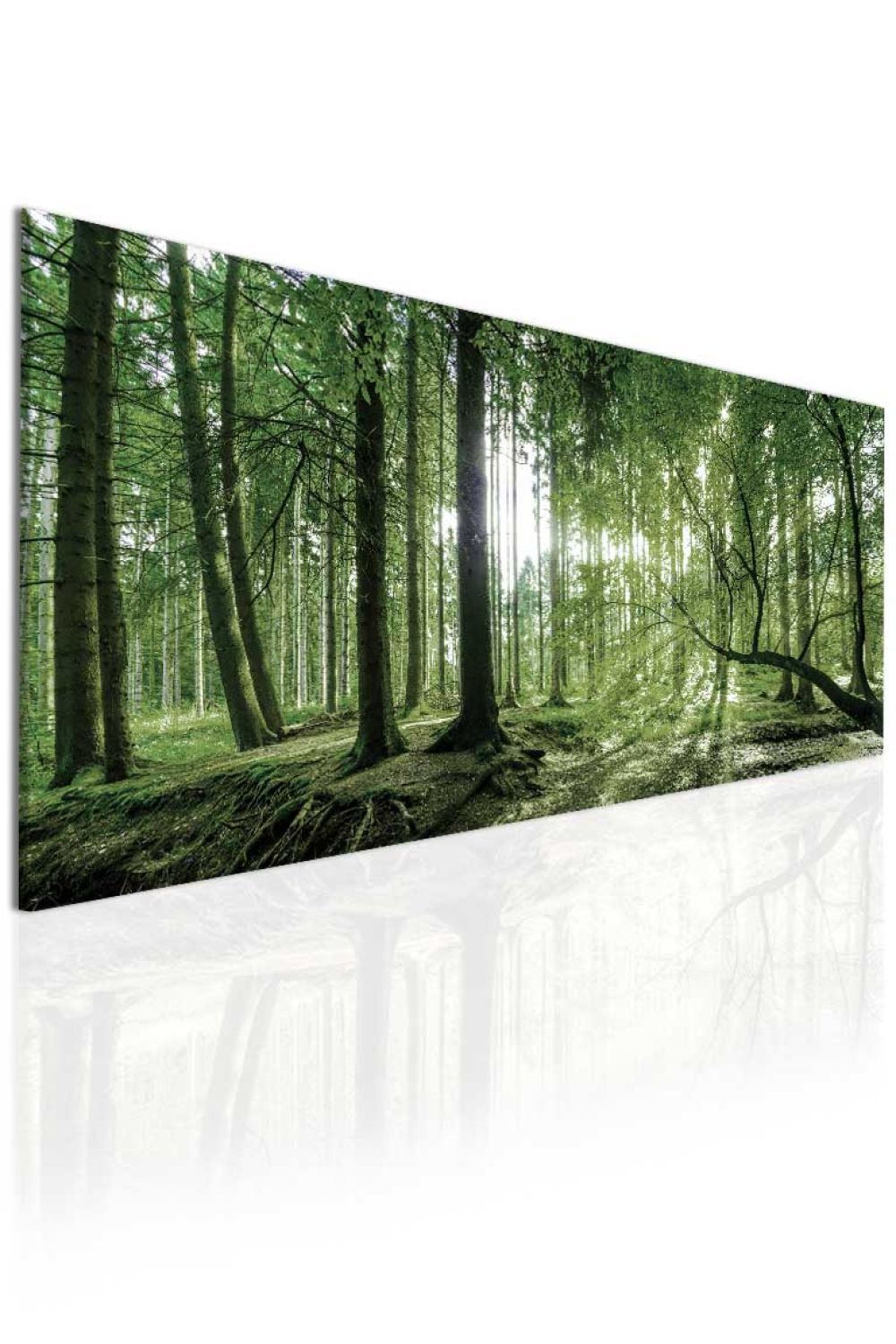 Obraz lesní úsvit III Velikost (šířka x výška): 130x60 cm - S-obrazy.cz