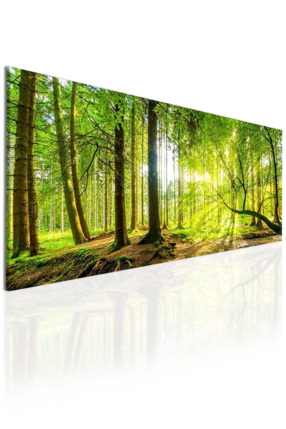 Obraz lesní úsvit II Velikost (šířka x výška): 130x60 cm - S-obrazy.cz