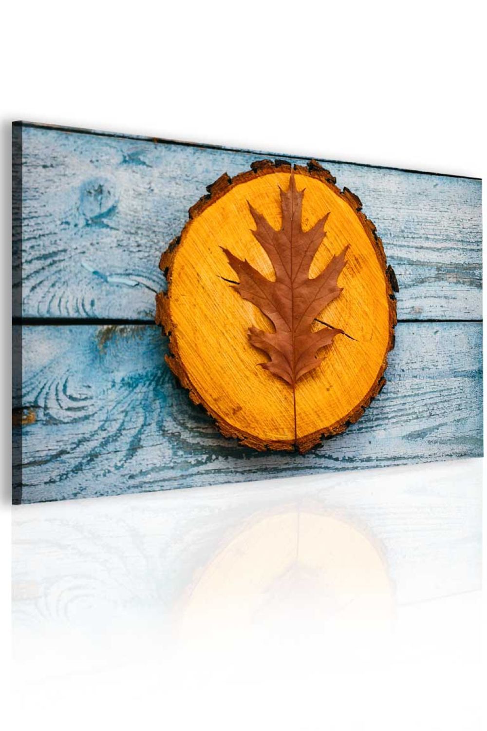 Obraz lístek na dřevě Velikost (šířka x výška): 150x100 cm - S-obrazy.cz