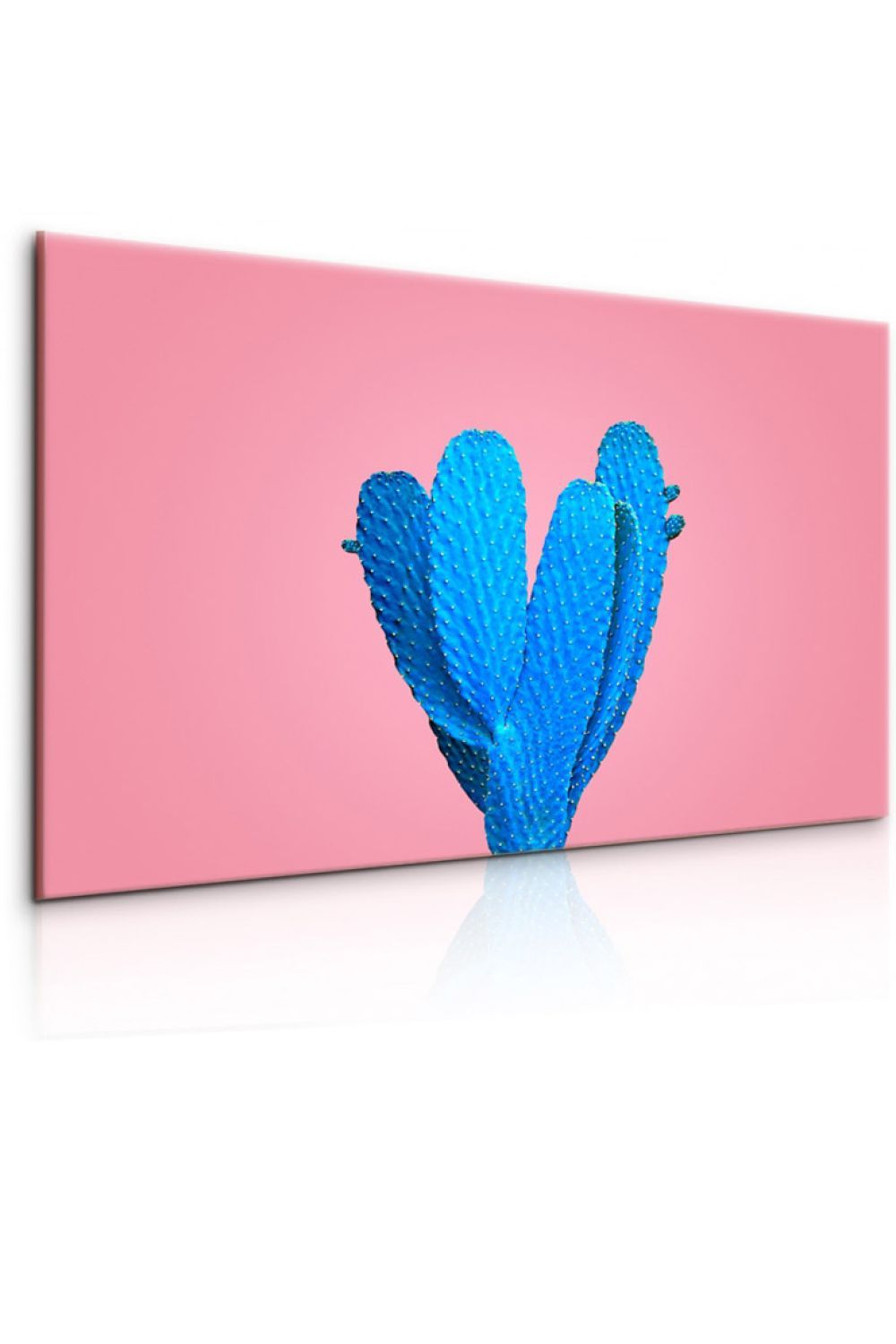 Obraz modrý kaktus Velikost (šířka x výška): 150x100 cm - S-obrazy.cz