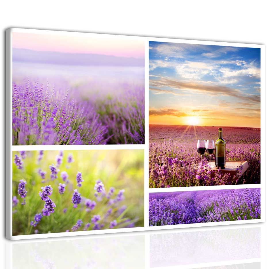 Provence obraz Velikost (šířka x výška): 50x40 cm - S-obrazy.cz