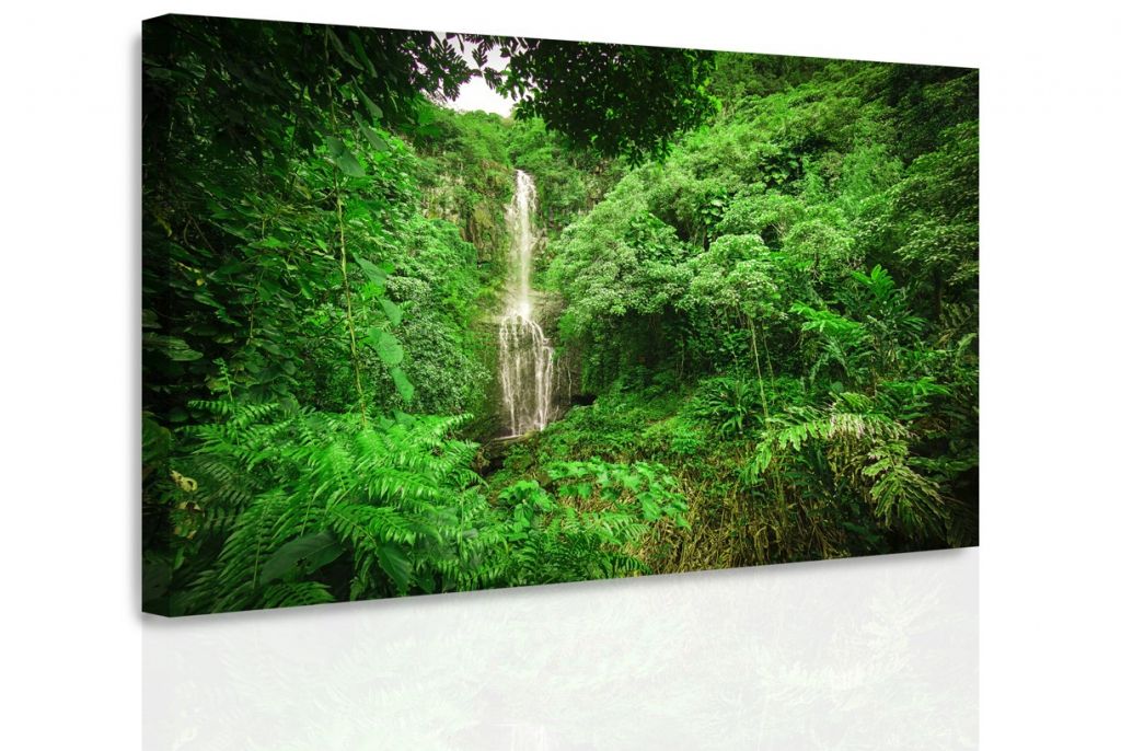 Obraz vodopád v lese Velikost (šířka x výška): 60x40 cm - S-obrazy.cz