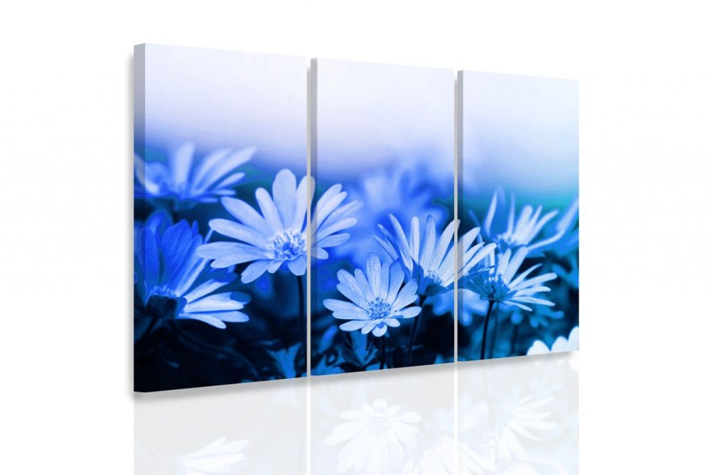 Obraz modré květy Velikost (šířka x výška): 120x80 cm - S-obrazy.cz