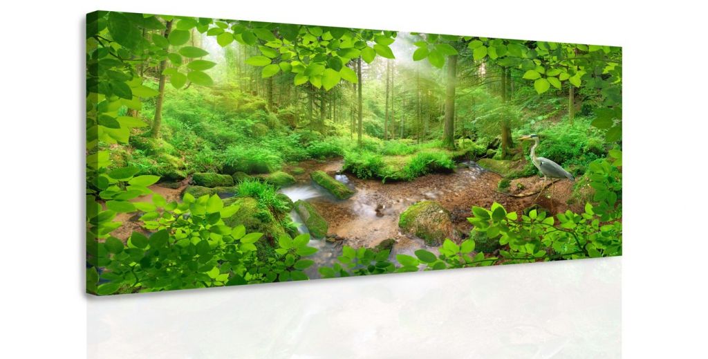 Obraz volavka v lese Velikost (šířka x výška): 100x50 cm - S-obrazy.cz