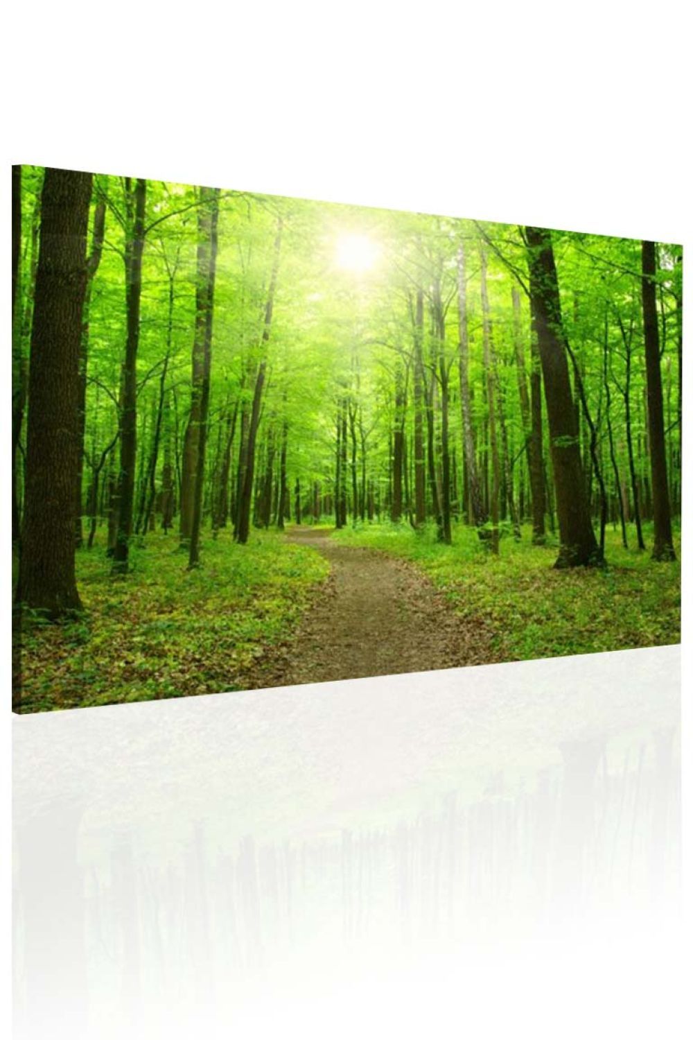 Obraz cesta lesem Velikost (šířka x výška): 120x80 cm - S-obrazy.cz