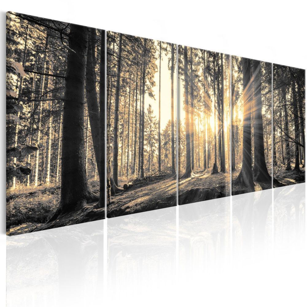 Obraz lesní záře sépie Velikost (šířka x výška): 200x80 cm - S-obrazy.cz