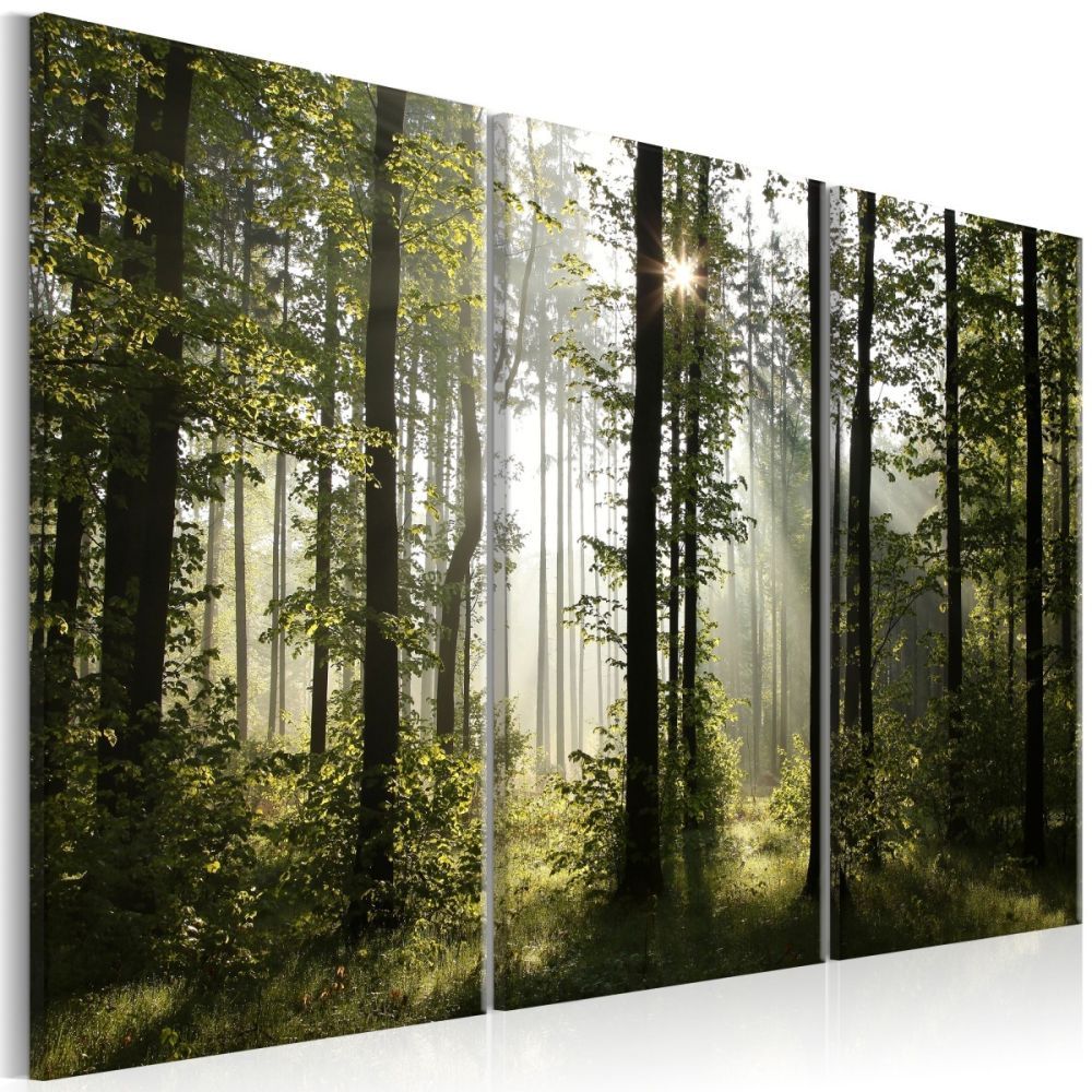 Třídílný obraz lesní kouzlo + háčky a hřebíčky ZDARMA Velikost (šířka x výška): 90x60 cm - S-obrazy.cz