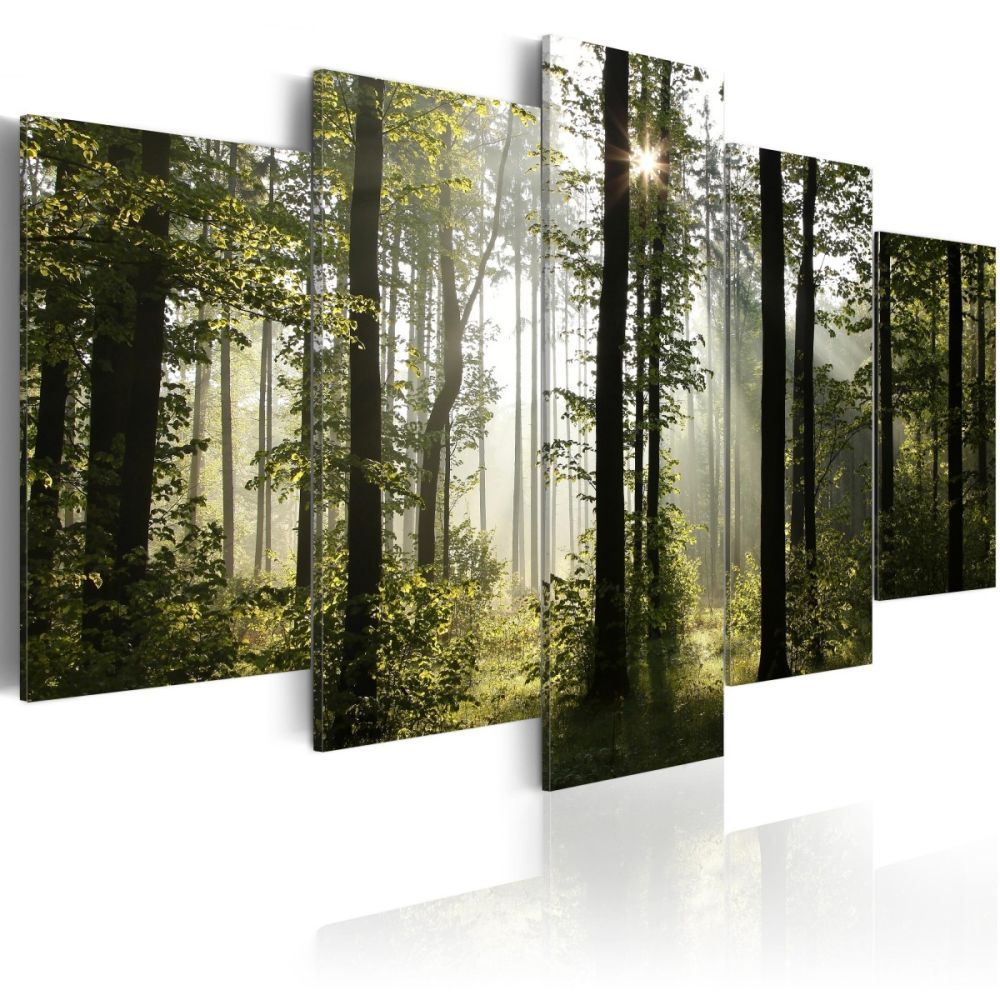 Pětidílný obraz les + háčky a hřebíčky ZDARMA Velikost (šířka x výška): 100x50 cm - S-obrazy.cz