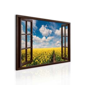 3D obraz jarní okno Velikost (šířka x výška): 60x40 cm