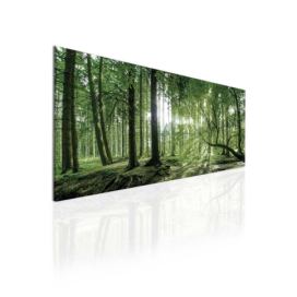 Obraz lesní úsvit III Velikost (šířka x výška): 130x60 cm